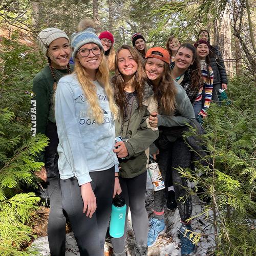 Students Hiking in the Woods